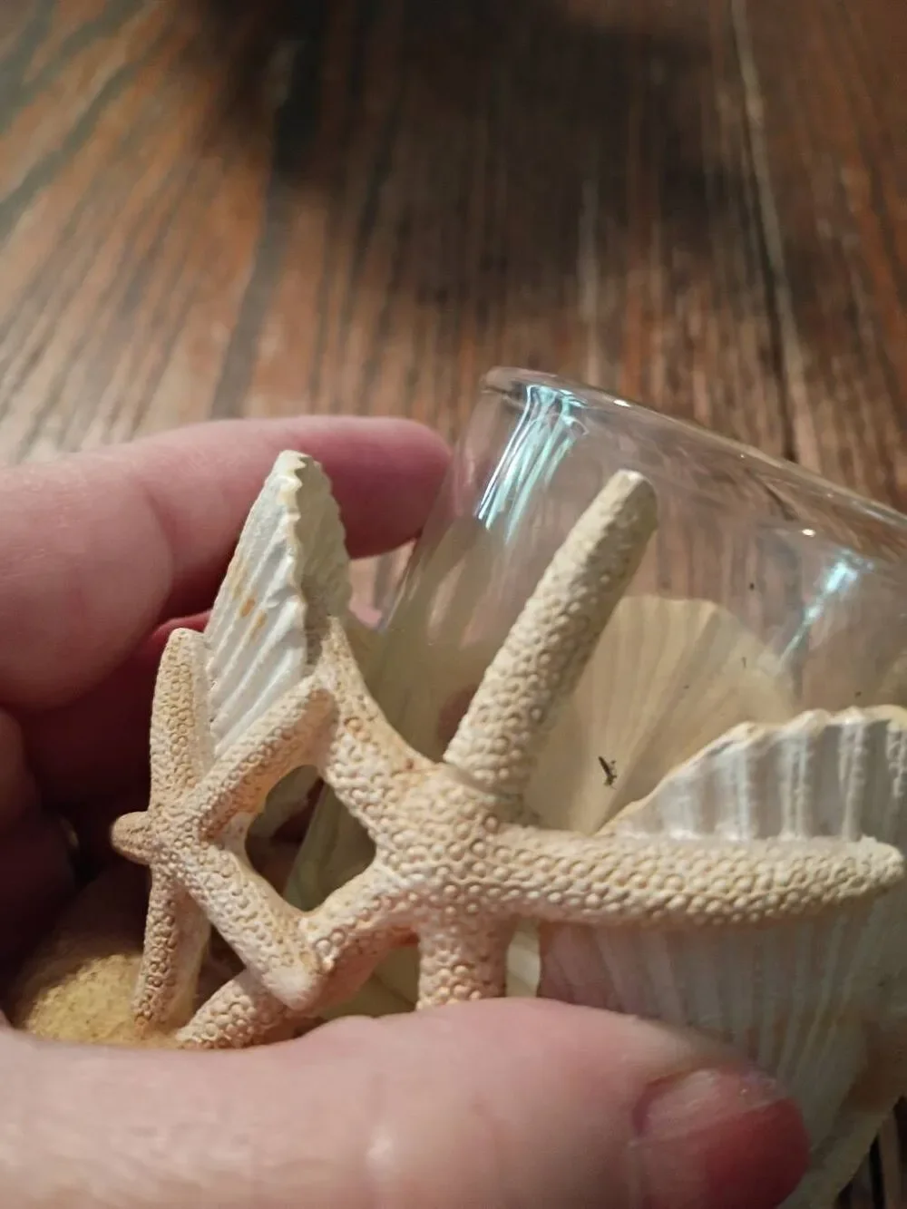 Yankee Candle Starfish Seashell Votive Holder Coastal Beach Nautical Decor